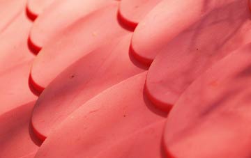 Fordel plastic roof costs